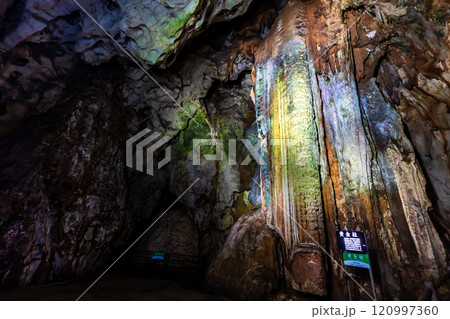 秋芳洞　黄金柱【山口県美祢市】 120997360