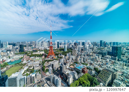 urban city skyline aerial view in Tokyo, Japan 120997647