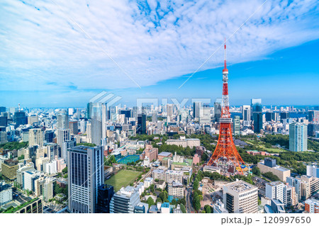 urban city skyline aerial view in Tokyo, Japan 120997650