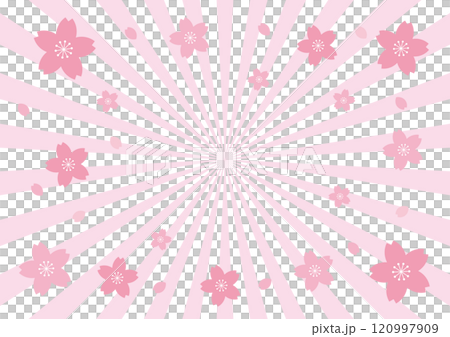 Cherry blossoms, concentrated lines, light pink background 120997909