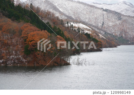 雪と紅葉の徳山ダム湖 120998149