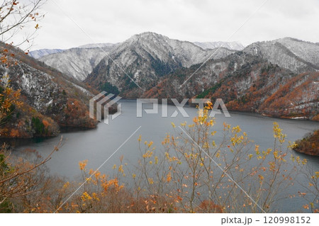 雪と紅葉の徳山ダム湖 120998152