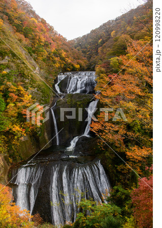 紅葉に染まる袋田の滝（茨城県） 120998220