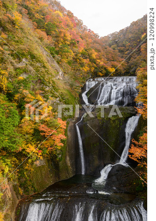 袋田の滝の紅葉(茨城県) 袋田の滝の紅葉(茨城県) 120998224