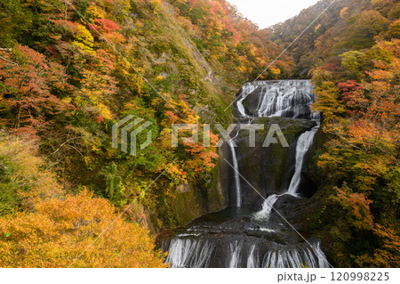 袋田の滝と紅葉の渓谷(茨城県) 袋田の滝と紅葉の渓谷(茨城県) 120998225