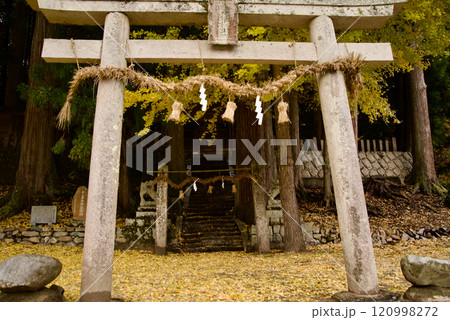 神社　鳥居の周りにイチョウの落ち葉 120998272
