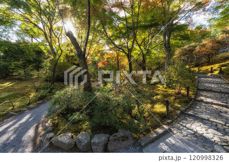 Tenryu-ji Temple Autumn Tenryu-ji Temple Autumn 120998326