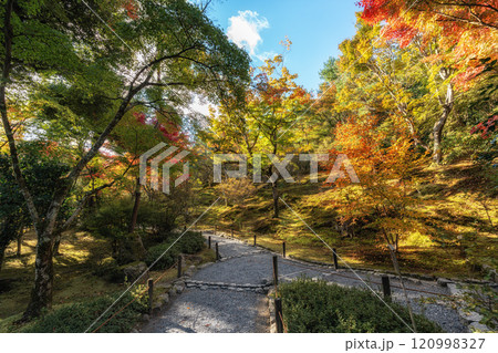 Tenryu-ji Temple Autumn 120998327