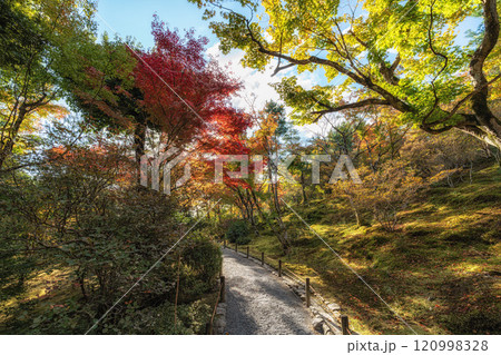 Tenryu-ji Temple Autumn Tenryu-ji Temple Autumn 120998328