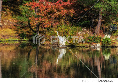Sogenchi Teien Pond Crane 120998331