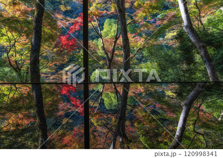 Arashiyama Yusai Tei Gallery 120998341