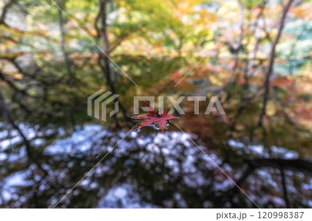 Arashiyama yusaitei reflecting pond 120998387