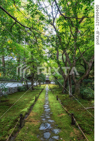 Saihoji Kokedera Temple 120998400