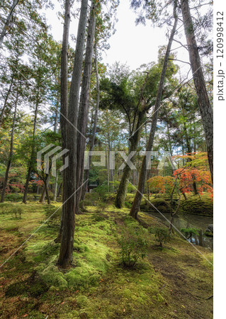 Saihoji Kokedera Temple Saihoji Kokedera Temple 120998412