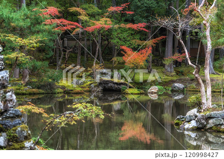 Saihoji Kokedera Temple 120998427