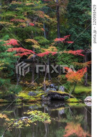Saihoji Kokedera Temple 120998429