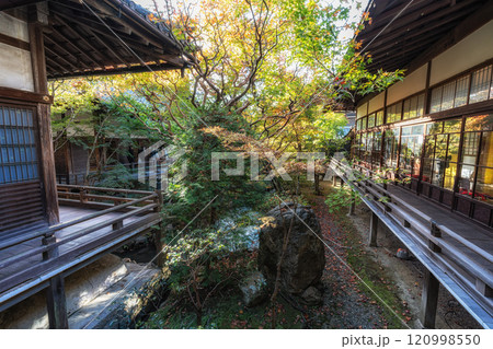Eikando Temple or Zenrinji Autumn Season Eikando Temple or Zenrinji Autumn Season 120998550