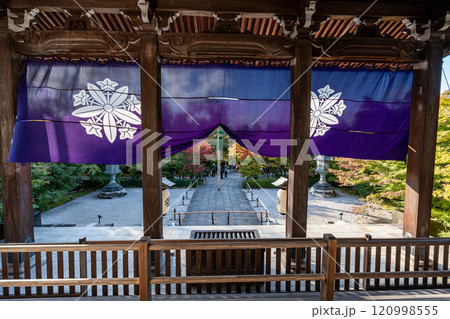 Eikando Temple or Zenrinji Autumn Season 120998555