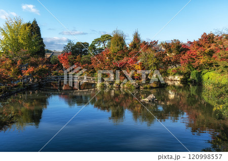 Eikando Temple or Zenrinji Hojo Pond Autumn Eikando Temple or Zenrinji Hojo Pond Autumn 120998557
