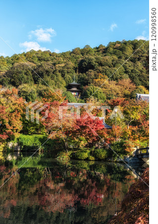 Eikando Temple or Zenrinji Hojo Pond Autumn Eikando Temple or Zenrinji Hojo Pond Autumn 120998560