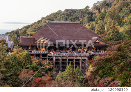 Kiyomizudera Hondo Main Hall 120998599