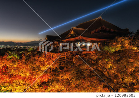 Kiyomizudera at Night Autumn Season 120998603