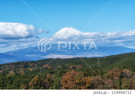 Mount Fuji View Mishima Skywalk 120998712