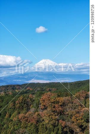 Mount Fuji View Mishima Skywalk Mount Fuji View Mishima Skywalk 120998716