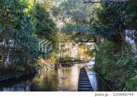 Mishima Genbei River Walk Mishima Genbei River Walk 120998744