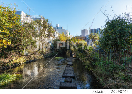 Mishima Genbei River Walk Mishima Genbei River Walk 120998745