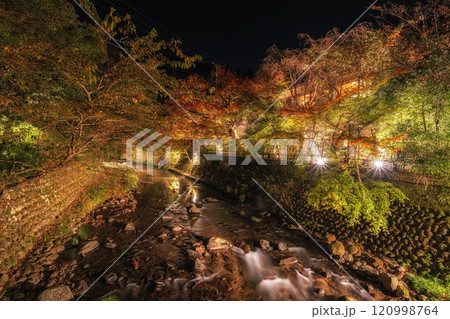 Autumn Foliage over Yoshina River Autumn Foliage over Yoshina River 120998764