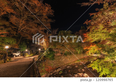 Stone Bridge over Yoshina River Night 120998765