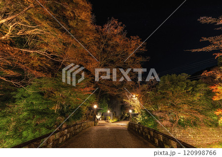 Stone Bridge over Yoshina River Night Stone Bridge over Yoshina River Night 120998766