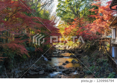 Katsura River Autumn Foliage Scenery Katsura River Autumn Foliage Scenery 120998794