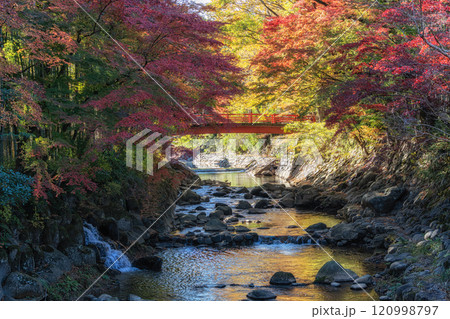 Katsura River Autumn Foliage Scenery 120998797