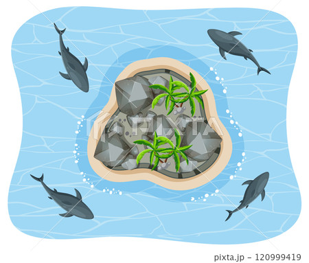 Aerial View of Island and Dolphins 120999419