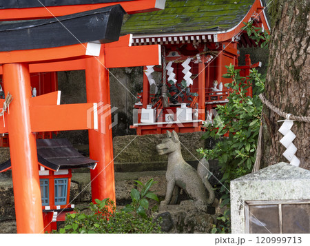 稲荷神社の狛狐 稲荷神社の狛狐 120999713