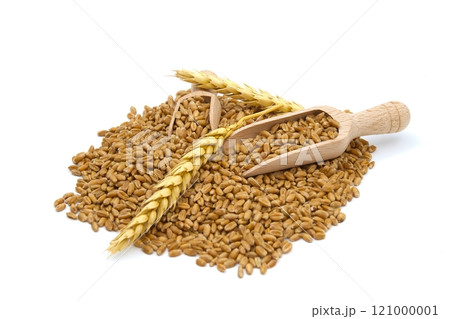 Wheat grain seeds spilling from two wooden scoops 121000001