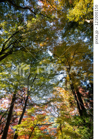 秋の香嵐渓 秋の香嵐渓 121000150