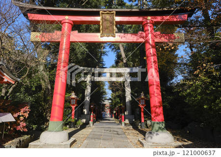 東京都杉並区 馬橋稲荷神社 東京都杉並区 馬橋稲荷神社 121000637
