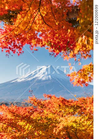 「山梨県」紅葉の河口湖と富士山・秋 121000699