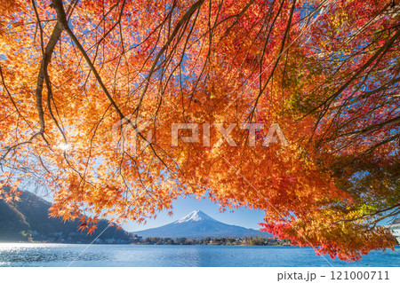 「山梨県」紅葉の河口湖と富士山・秋 121000711