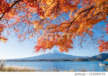 「山梨県」紅葉の河口湖と富士山・秋 121000733