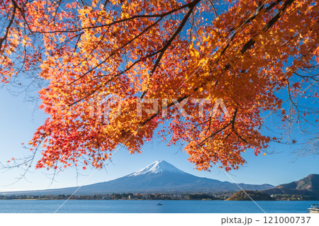 「山梨県」紅葉の河口湖と富士山・秋 121000737