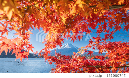 「山梨県」紅葉の河口湖と富士山・秋 「山梨県」紅葉の河口湖と富士山・秋 121000745