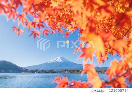 「山梨県」紅葉の河口湖と富士山・秋 121000754