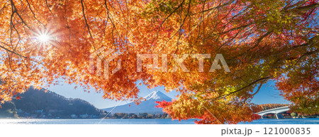 「山梨県」紅葉の河口湖と富士山・秋 121000835