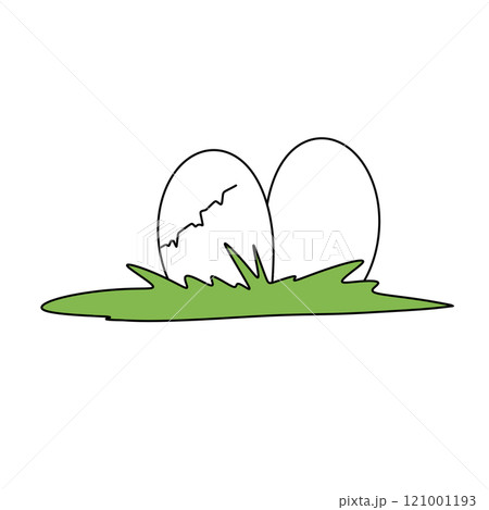 Two eggs are laying on the grass 121001193