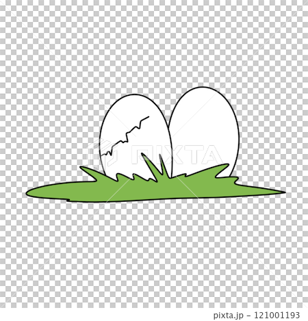 Two eggs are laying on the grass 121001193