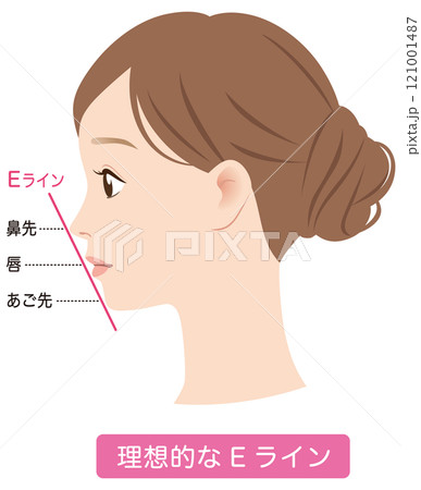 理想的なEライン 横顔 理想的なEライン 横顔 121001487